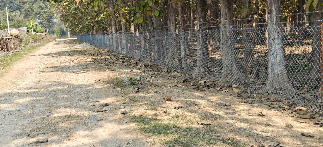 मानव वन्यजन्तु द्वन्द्व न्युनीकरणका लागि तारवारः सहमति सामुदायिक वन, बारबर्दिया १