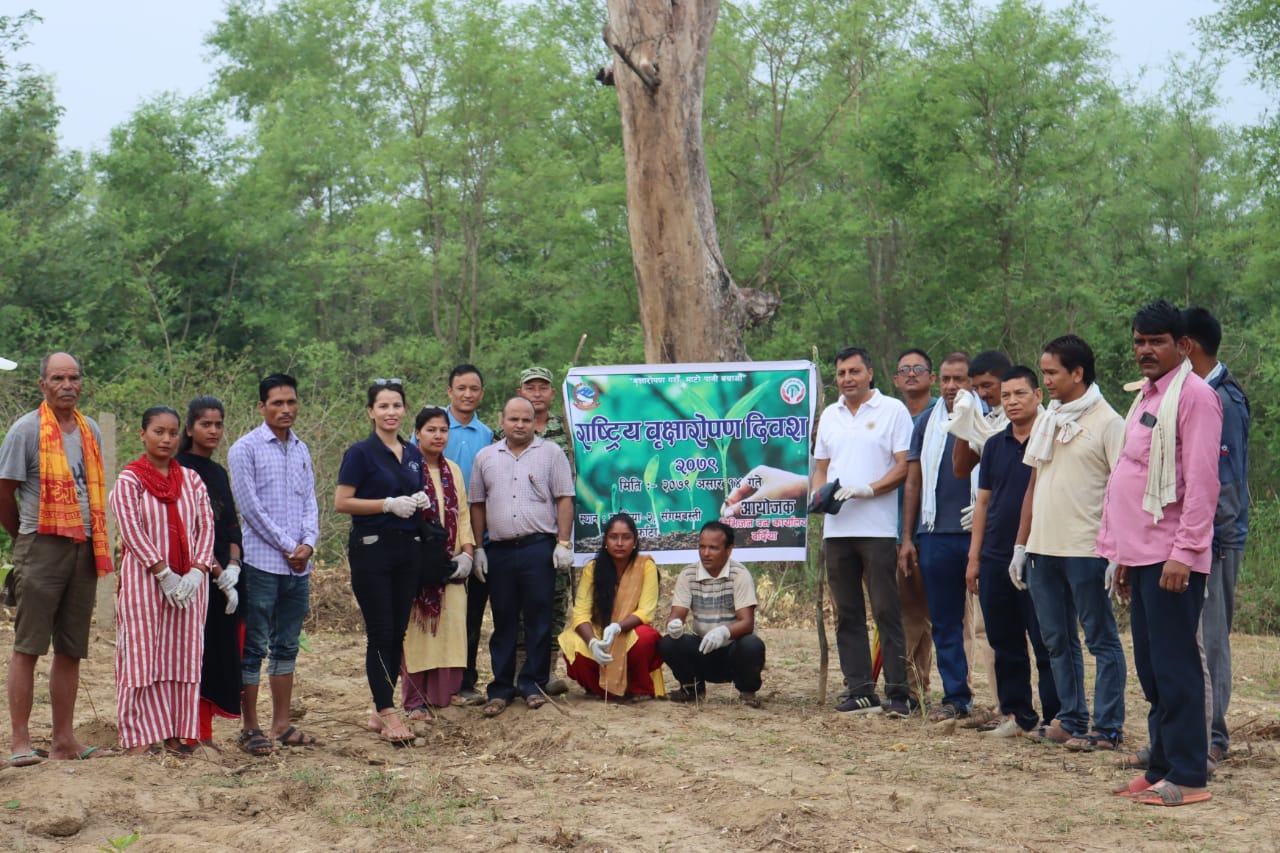 राष्ट्रिय वृक्षारोपण दिवस