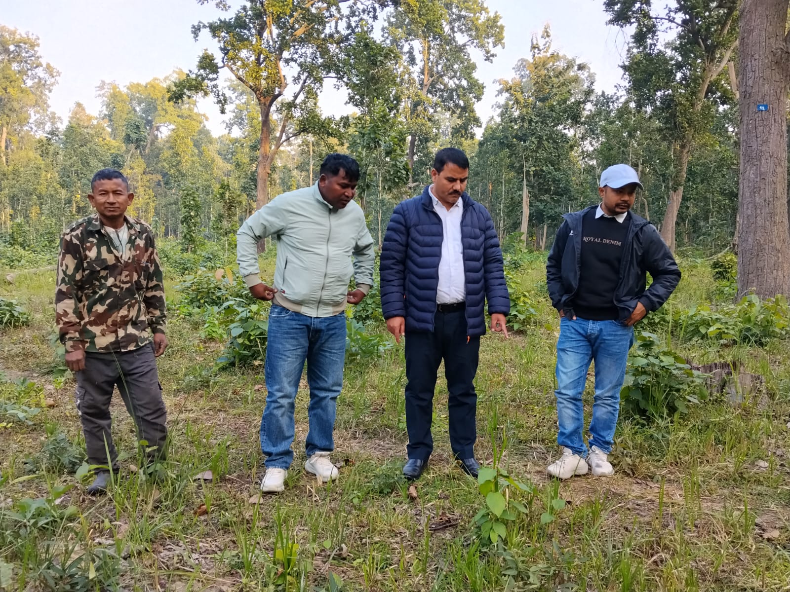 पुनरुत्पादन कटान क्षेत्रको अनुगमन: सहमति सामुदायिक वन